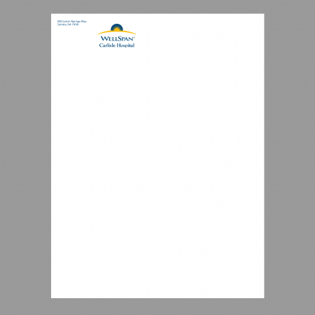 WellSpan Catalog Envelope