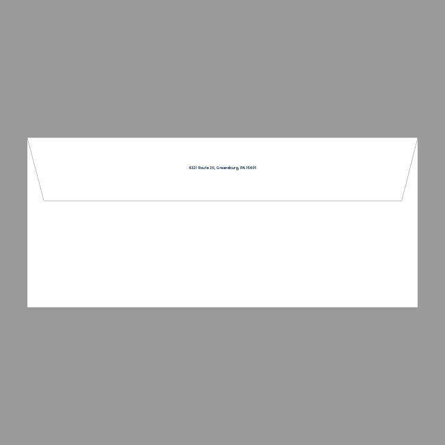AHN Business Envelope #6