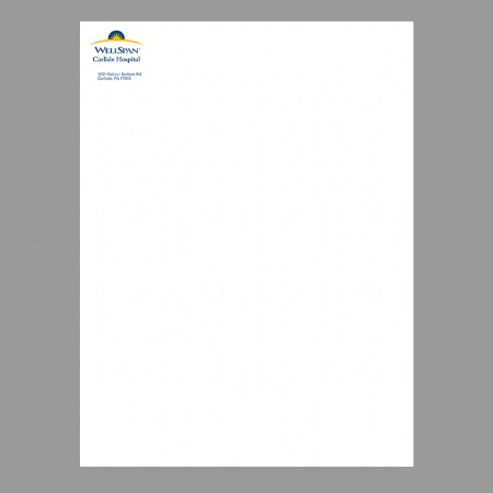 WellSpan Catalog Envelope
